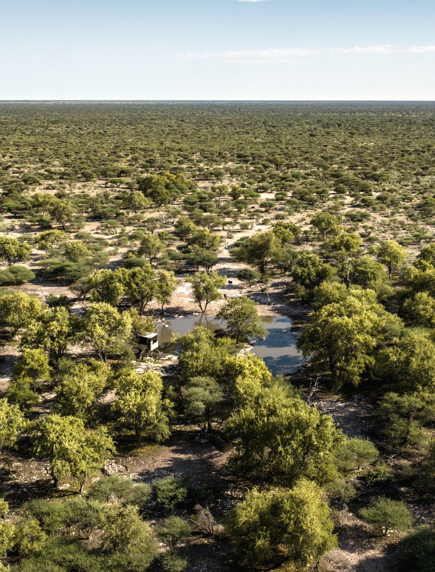 Botswana Conservancy, Ghanzi, Botswana