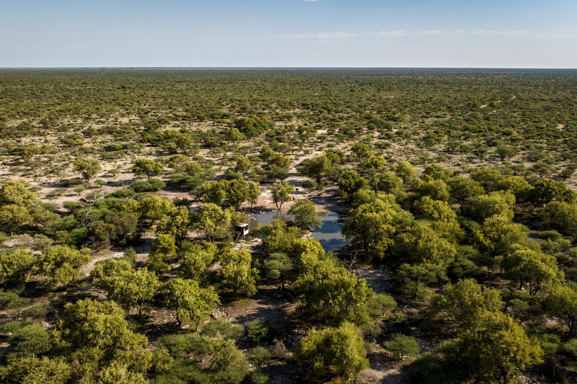 Botswana Conservancy, Botswana, Ghanzi