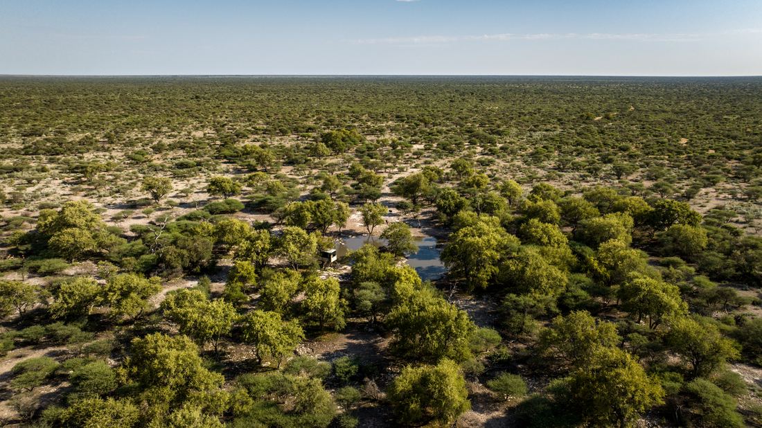 Botswana Conservancy, photograph 6 of 11