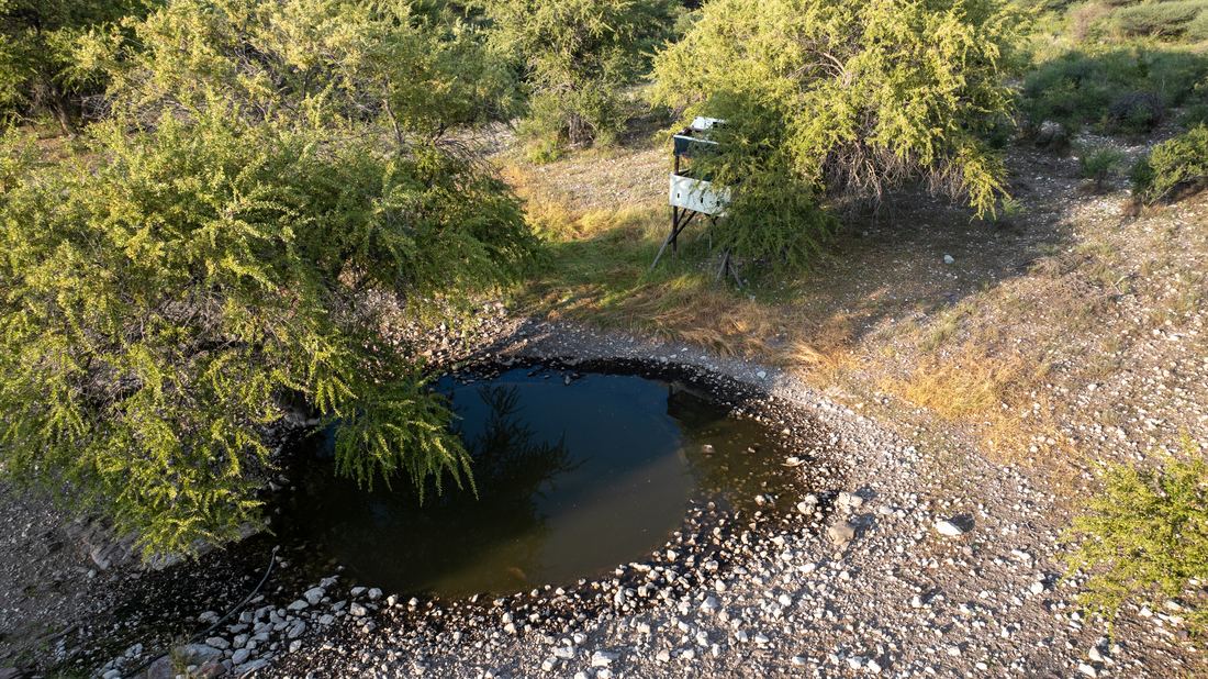 Botswana Conservancy, photograph 7 of 11