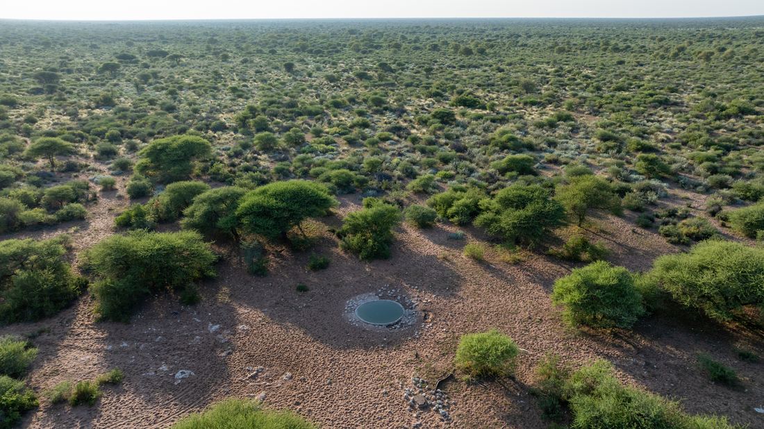 Botswana Conservancy, photograph 8 of 11