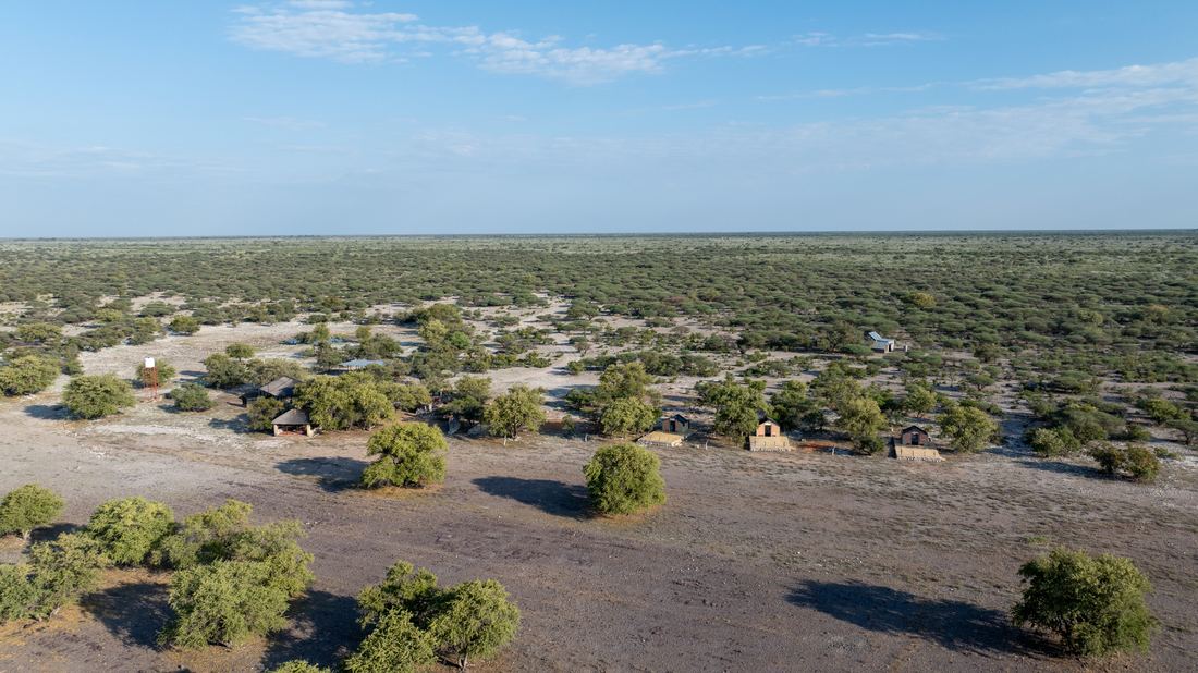 Botswana Conservancy, photograph 9 of 11