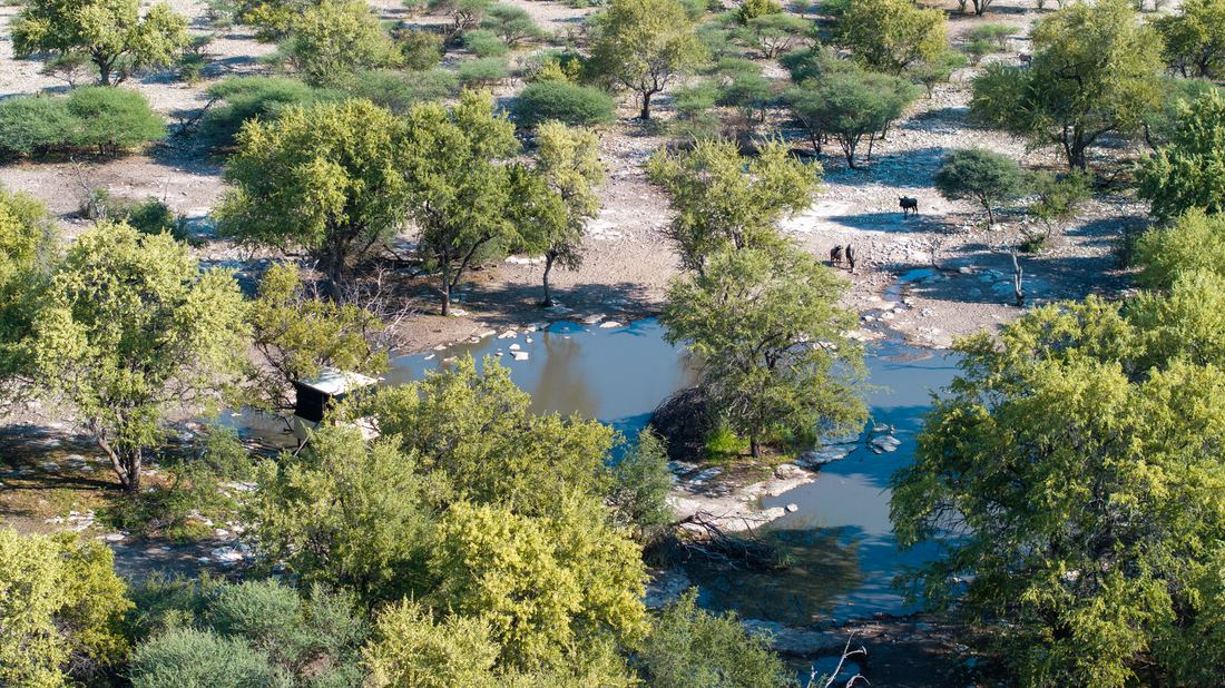Botswana Conservancy, photograph 10 of 11