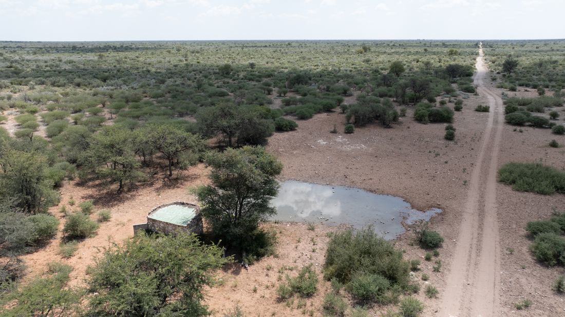 Botswana Conservancy, photograph 11 of 11