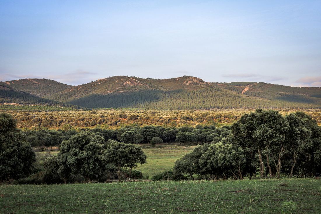El Casarejo, photograph 1 of 9