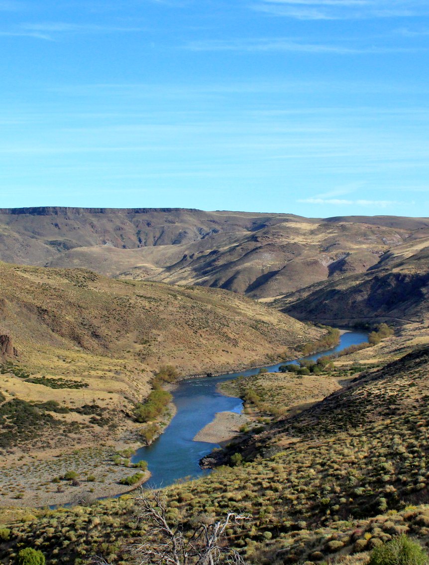 A river through a steppe valley in Patagonia