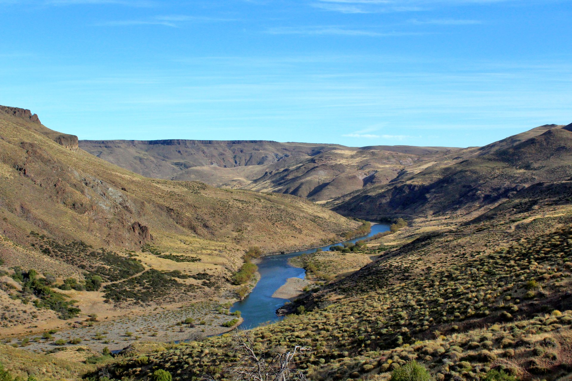 A river through a steppe valley in Patagonia