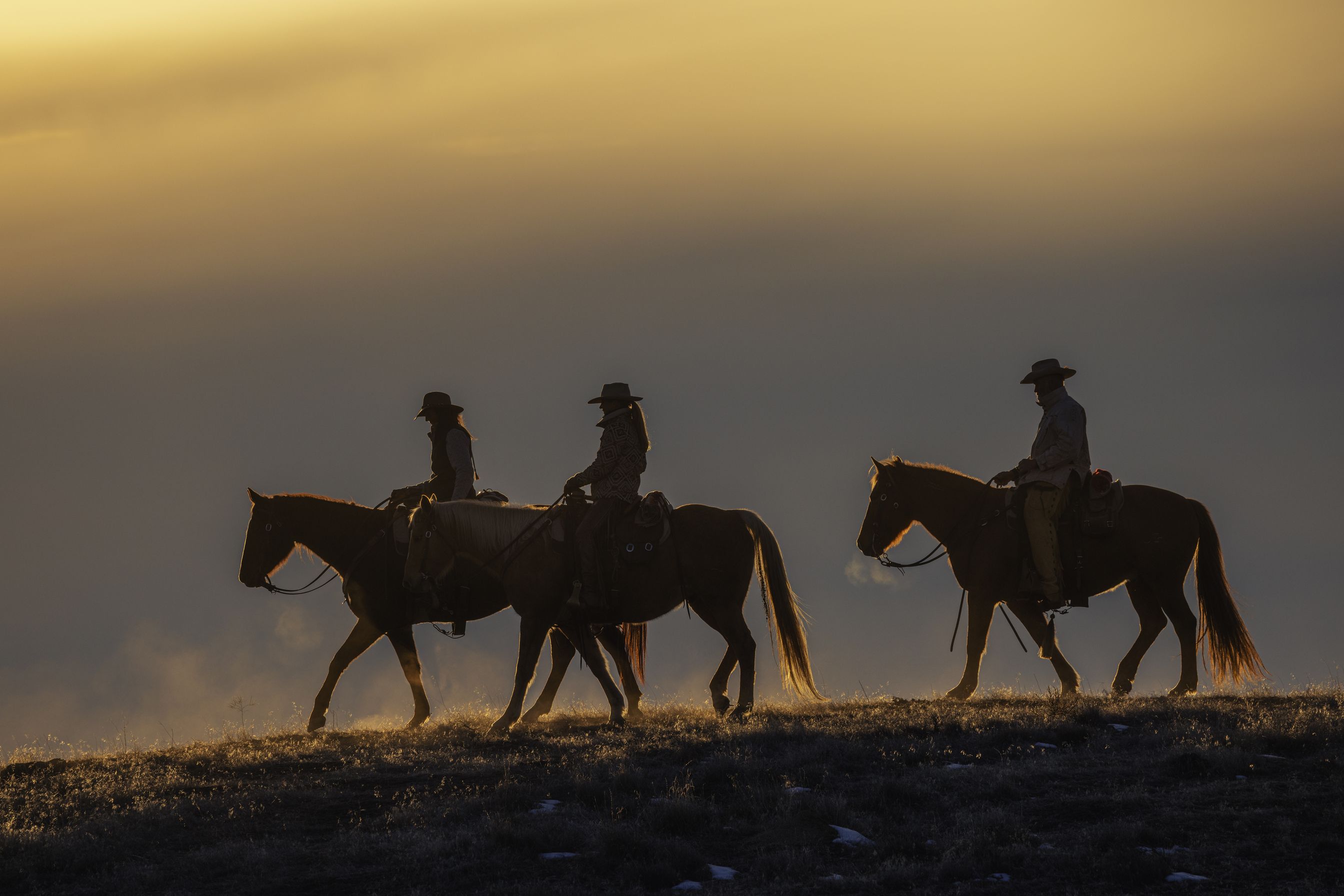 Three riders in silhouette along a ridge at dusk