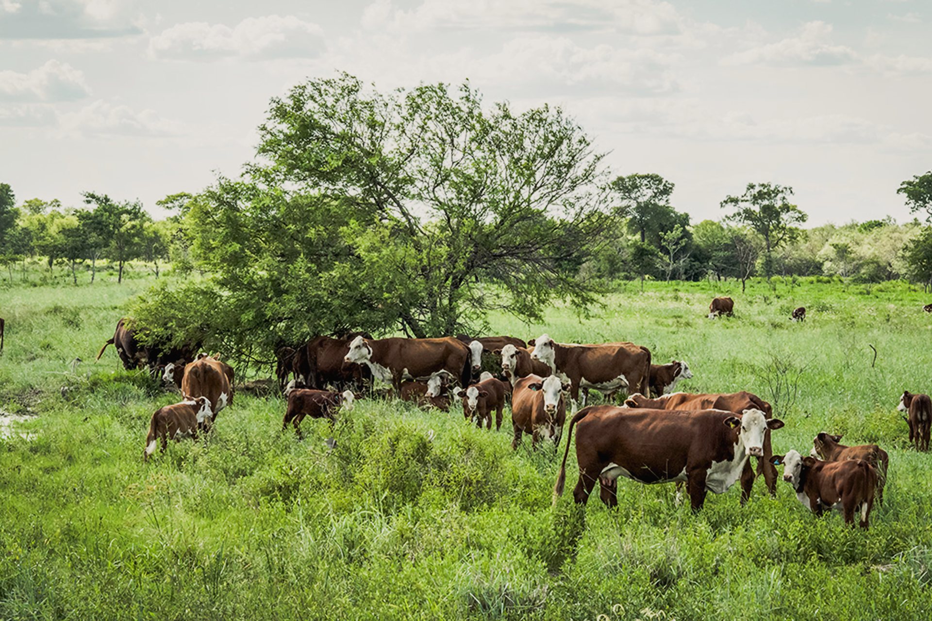 La Americana, Paraguay, Fuerte Olimpo