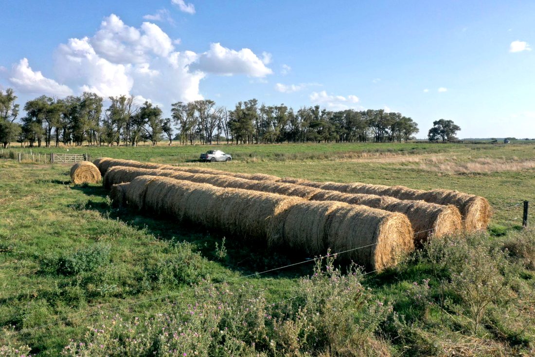 Las Totoras, photograph 2 of 10