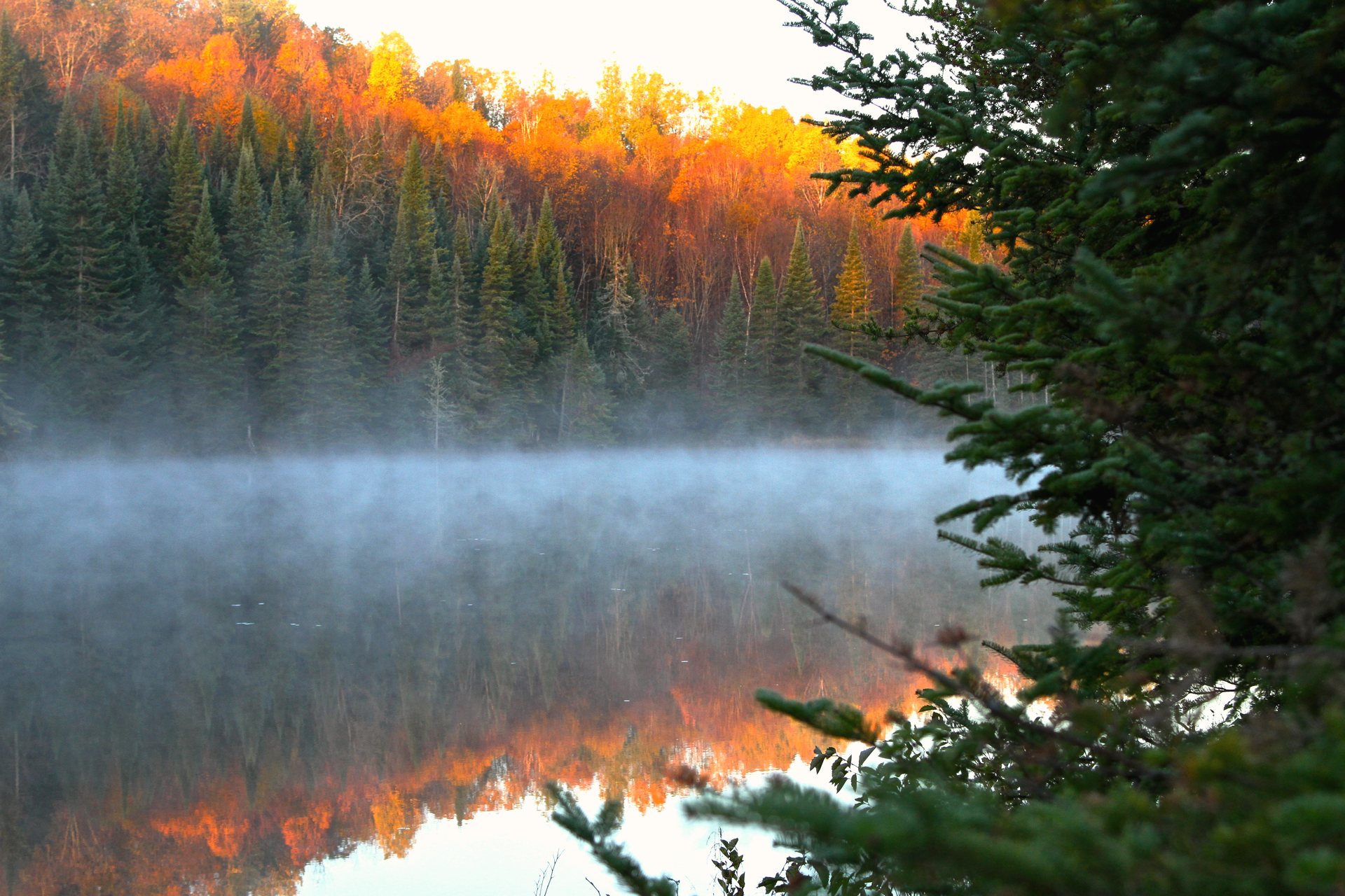 Laurentian Wildlife Estate, Canada, Boileau