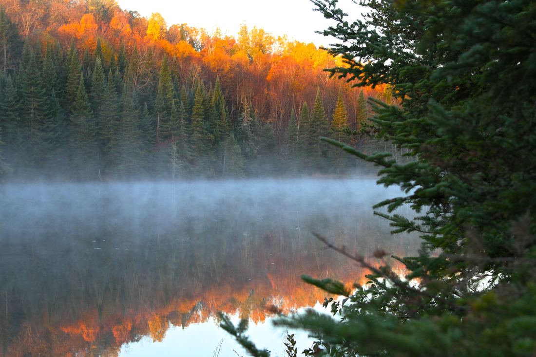Laurentian Wildlife Estate, photograph 6 of 7