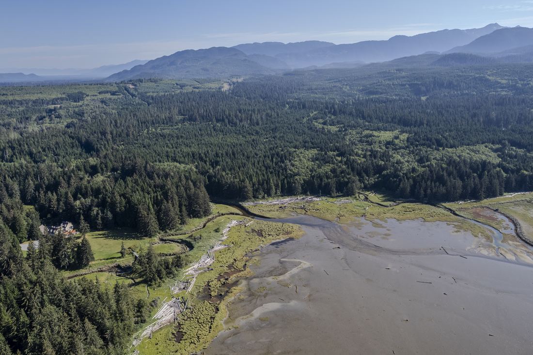 Minette Bay Lodge, photograph 7 of 11