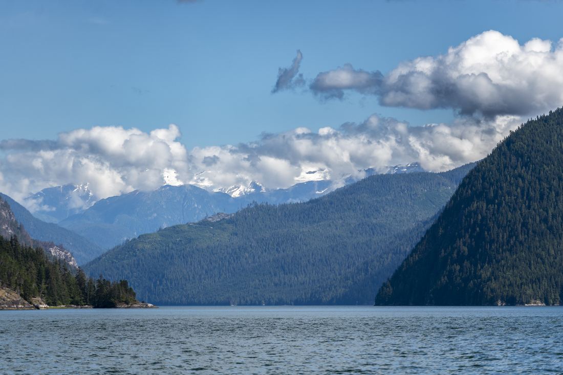 Minette Bay Lodge, photograph 11 of 11
