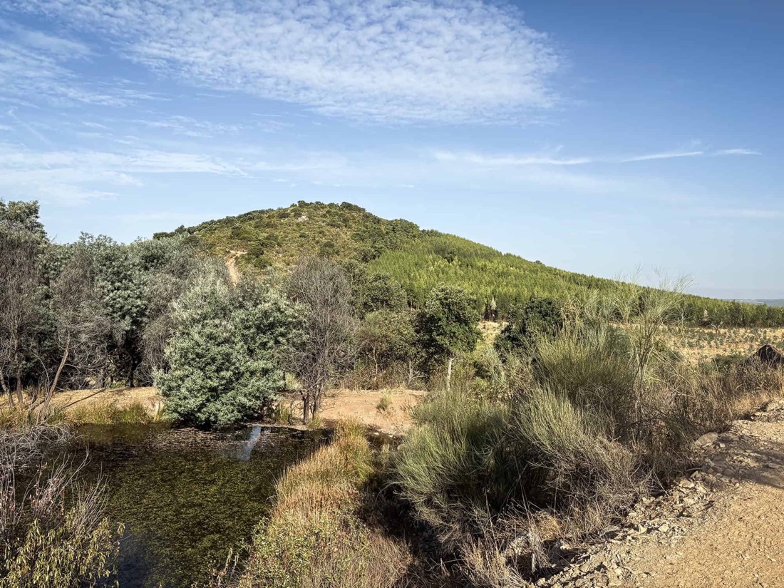 Monte do Barata, photograph 8 of 11