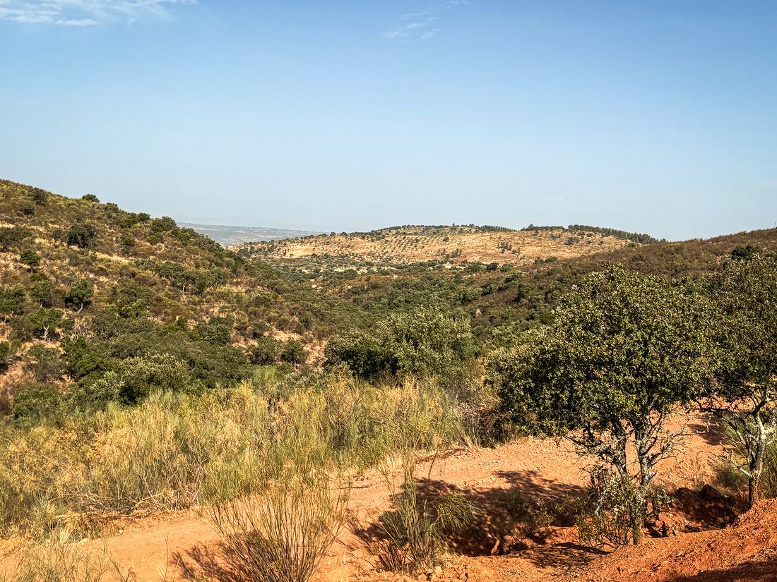 Monte do Barata, photograph 9 of 11