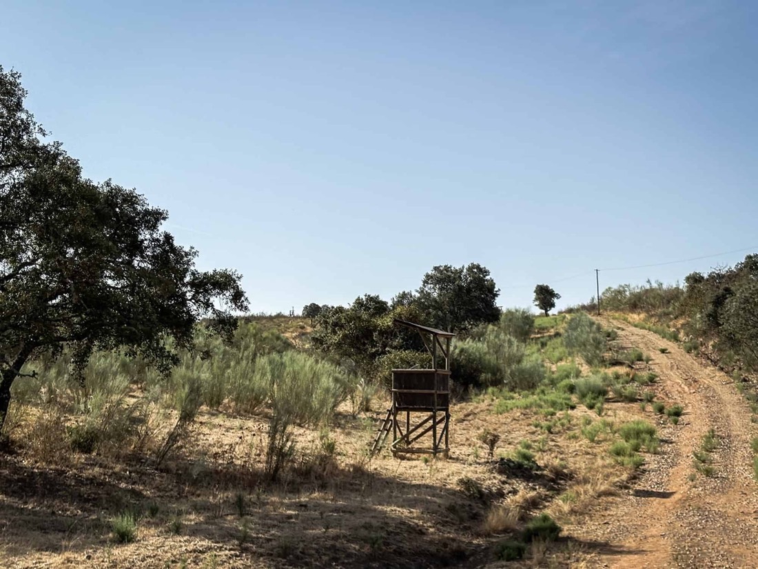 Monte do Barata, photograph 10 of 11