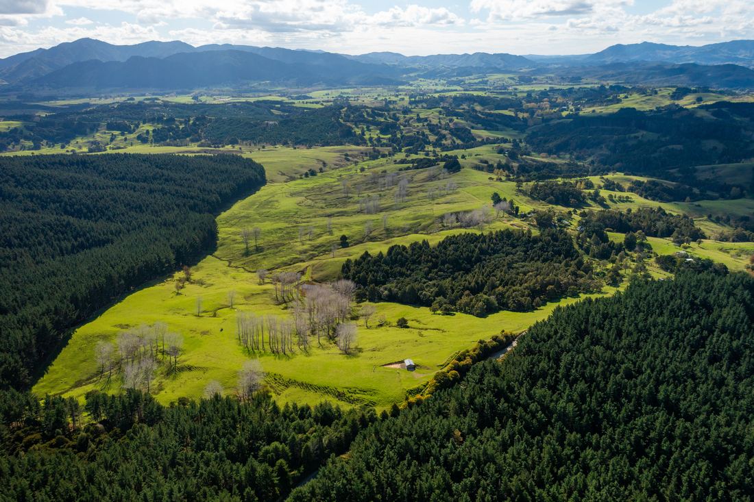 Titoki Downs, photograph 1 of 12