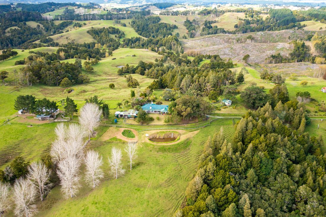 Titoki Downs, photograph 7 of 12